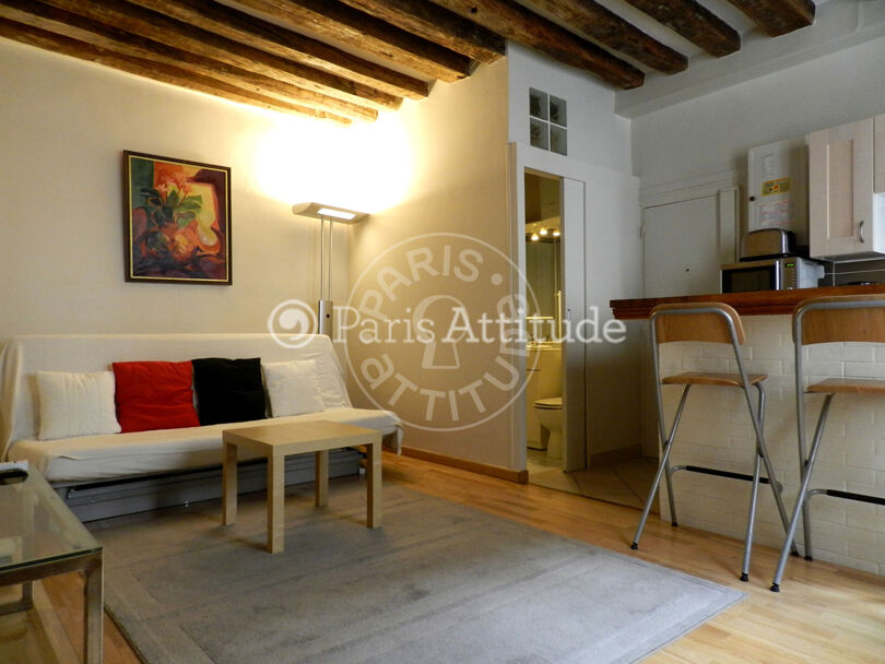 Furnished 1 bedroom - Paris 75003 - 10047