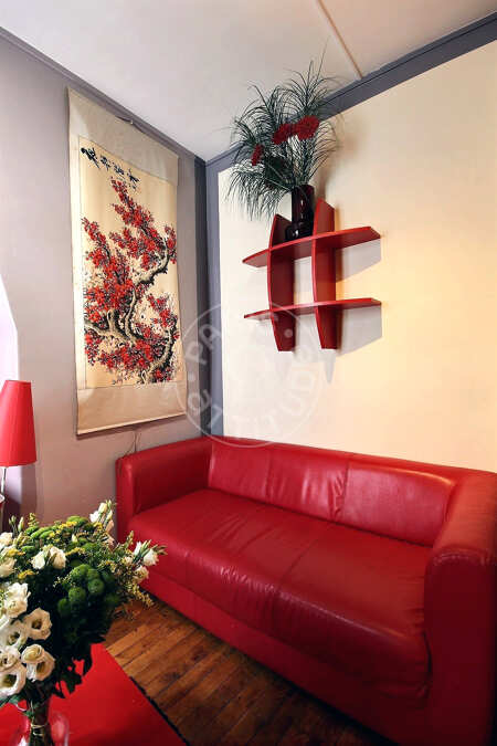 Sala Apartamento mobilado - 22m²  - 1 quarto - Commerce - Paris