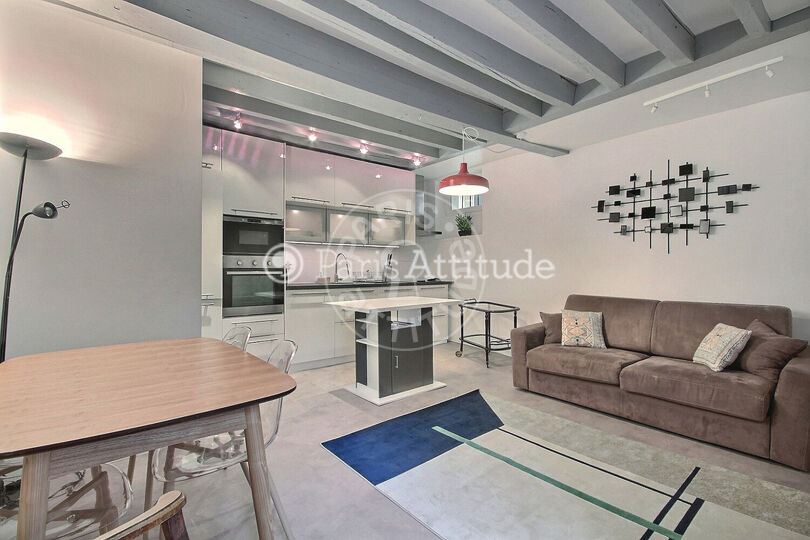 Furnished 1 bedroom - Paris 75003 - 11017