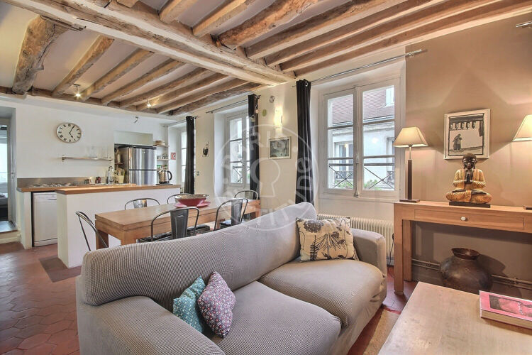 Living room - Furnished 1 bedroom - Paris 75003 - 11051