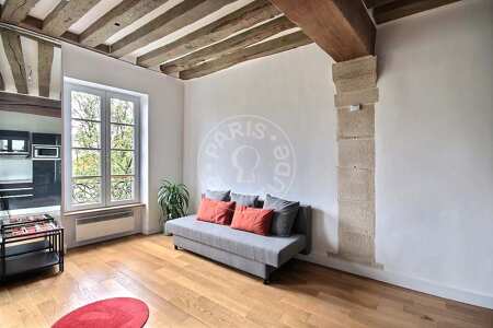 Wohnzimmer Möblierte wohnung - 43m²  - 1 Zimmer - Latin / Saint-Michel - Paris