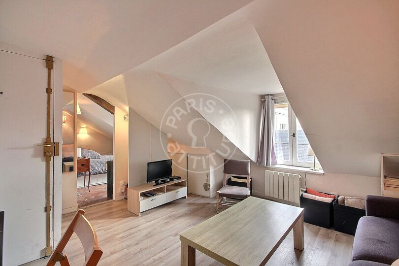 Furnished 1 bedroom - Paris 75003 - 12014