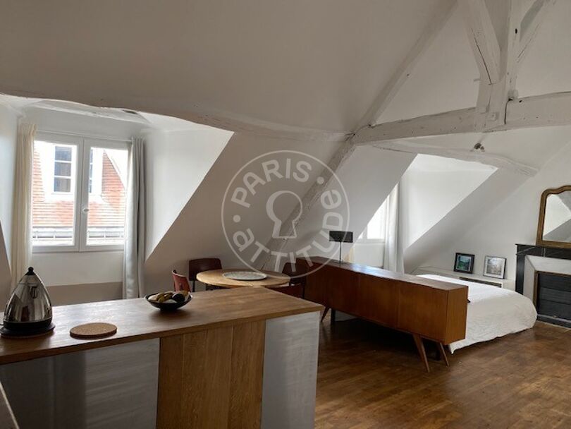 Furnished studio - Paris 75003 - 12736