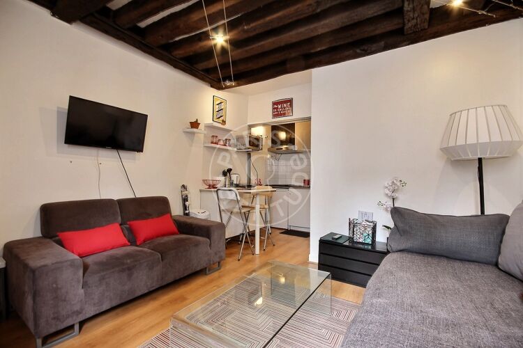 Salon - Studio meublé - Paris 75004 - 12997