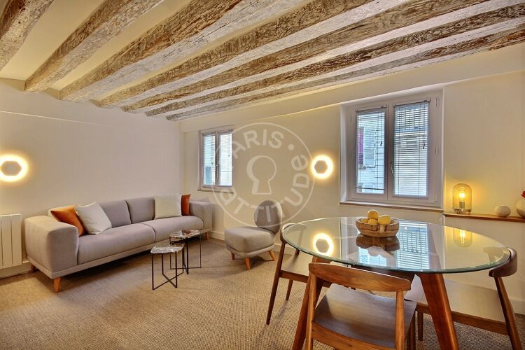 Living room - Furnished 1 bedroom - Paris 75007 - 13127