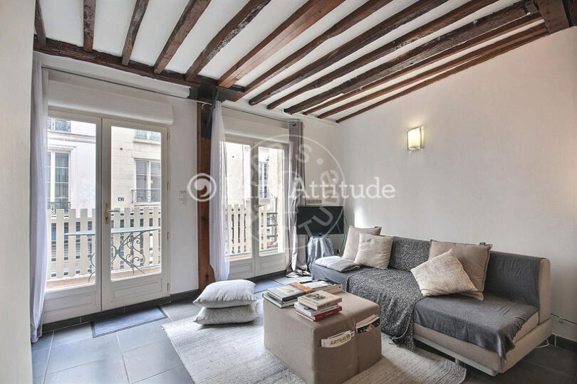 Furnished 1 bedroom - Paris 75003 - 13309