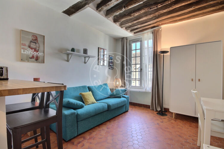 Living room - Furnished studio - Paris 75005 - 13733
