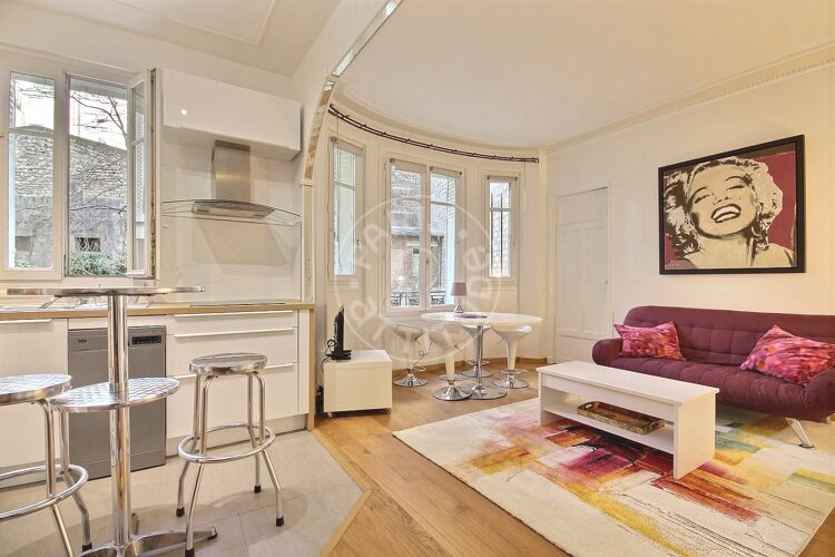 Salotto - 1 locale arredato - Parigi 75015 - 14254