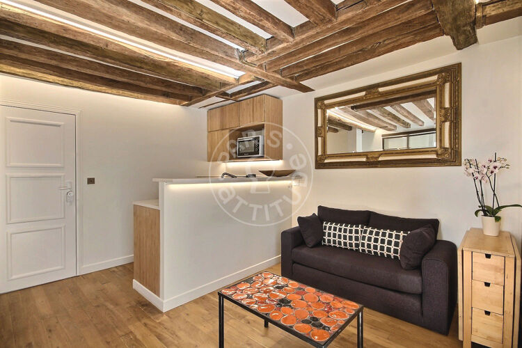 Living room - Furnished 1 bedroom - Paris 75018 - 14278