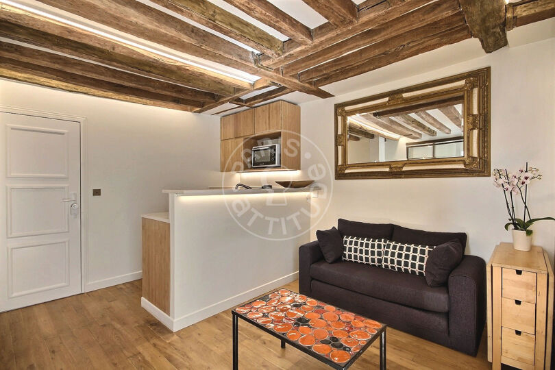 Furnished 1 bedroom - Paris 75018 - 14278