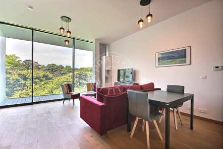 Salotto Monolocale arredato - 39m²  - Montsouris - Parigi