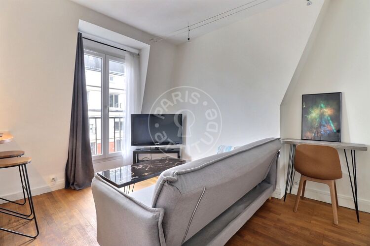 Living room - Furnished 1 bedroom - Paris 75015 - 15519