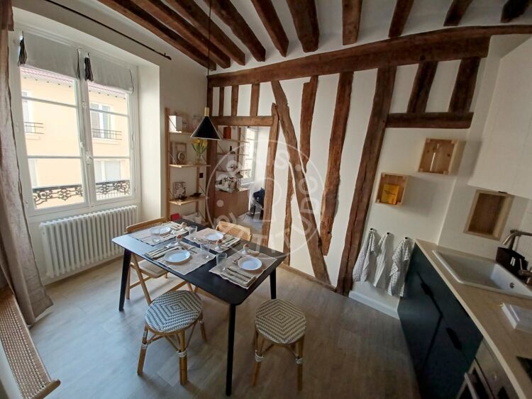 Living room - Furnished 1 bedroom - Paris 75006 - 17274