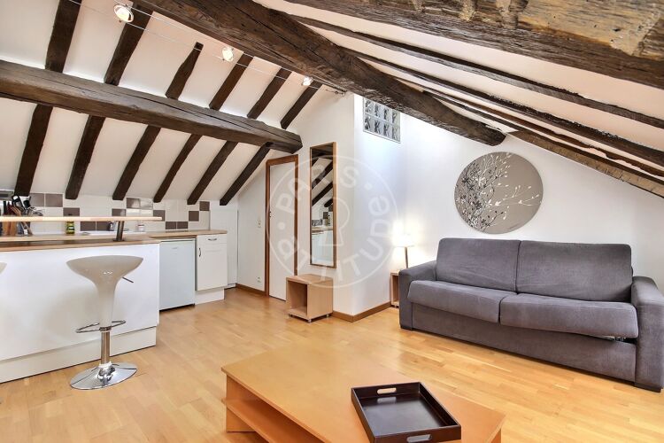 Salon - Studio meublé - Paris 75003 - 2465