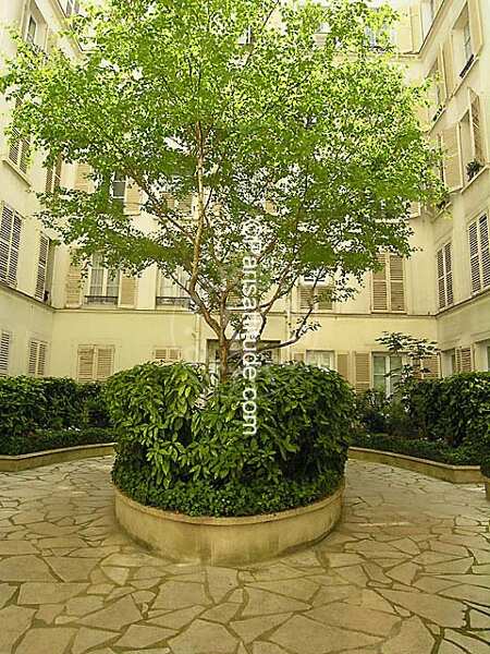 undefined Appartement meublé - 54m²  - 1 chambre - Tour Eiffel - Paris