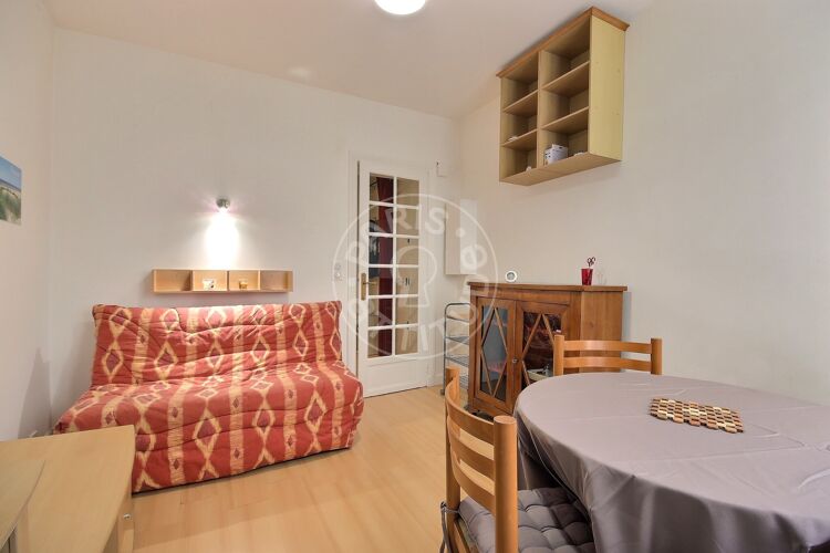 Living room - Furnished 1 bedroom - Paris 75015 - 3224
