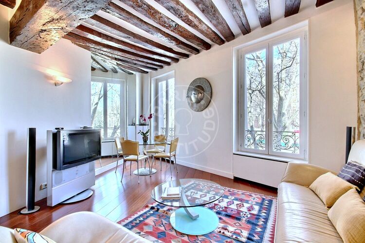 Living room - Furnished 2 bedrooms - Paris 75005 - 3586