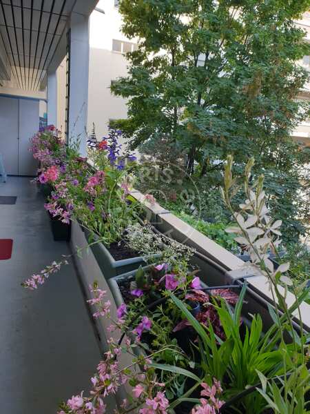 Balcon Appartement meublé - 76m²  - 2 chambres - Convention - Paris