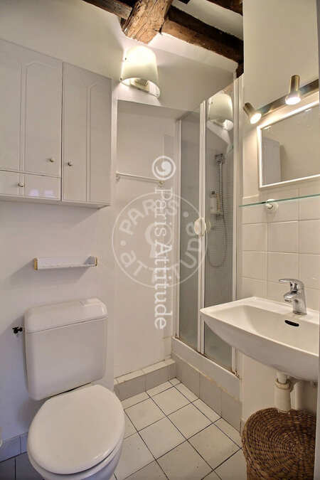 Casa de banho Studio mobilado - 39m² - Latin / Saint-Michel - Paris