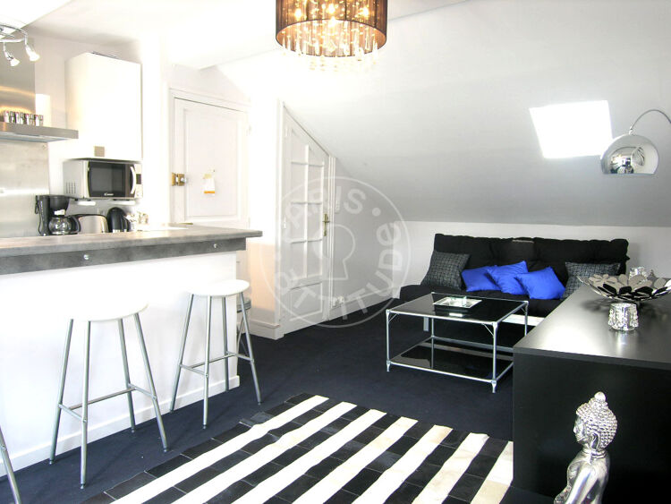 Living room - Furnished 1 bedroom - Paris 75016 - 4397