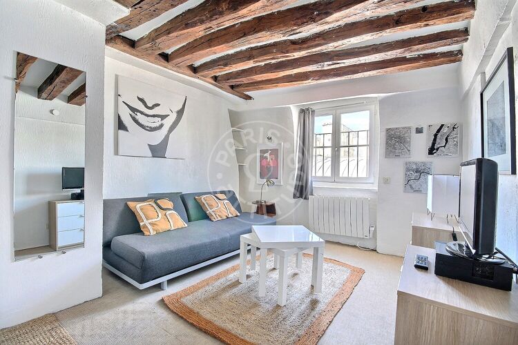 Salon - Studio meublé - Paris 75007 - 6259