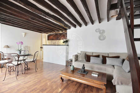 Salon Duplex meublé - 50m²  - 1 chambre - Châtelet - Paris