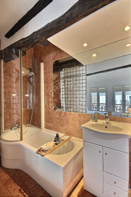 Salle de bain Duplex meublé - 50m²  - 1 chambre - Châtelet - Paris