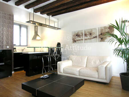 Salon Appartement meublé - 34m²  - 1 chambre - Mirabeau - Paris