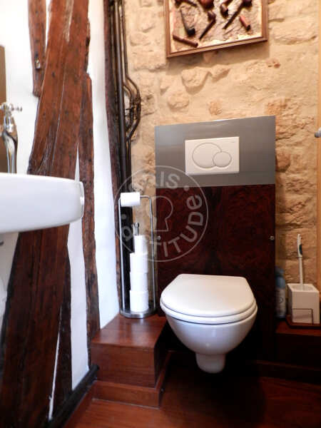 Toilet Furnished loft - 64m²  - 1 bedroom - Montorgueil - Paris