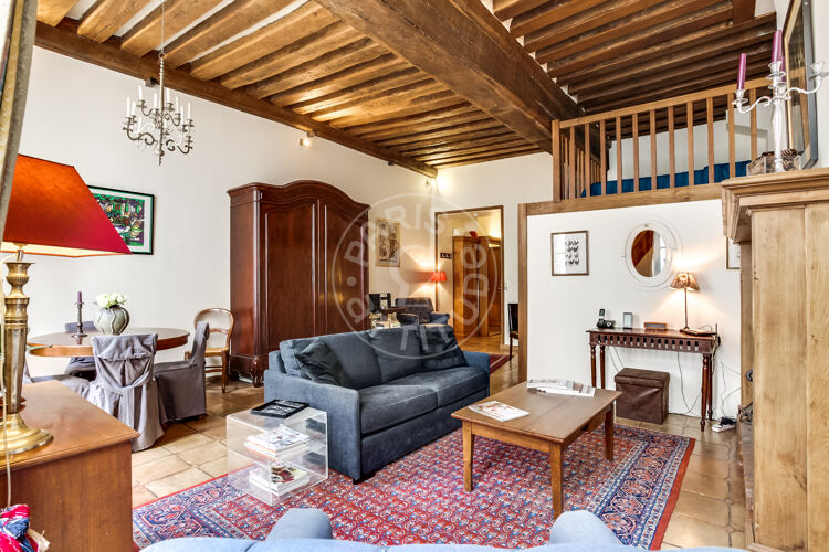 Living room - Furnished 1 bedroom - Paris 75004 - 8007