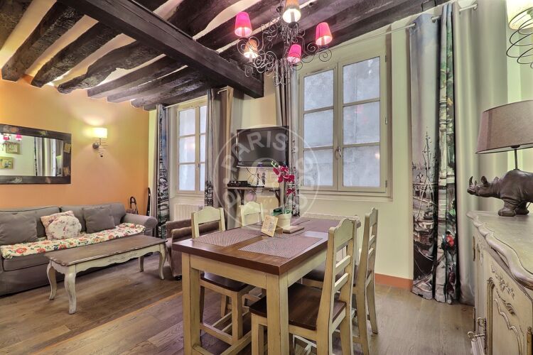 Living room - Furnished 1 bedroom - Paris 75005 - 8503